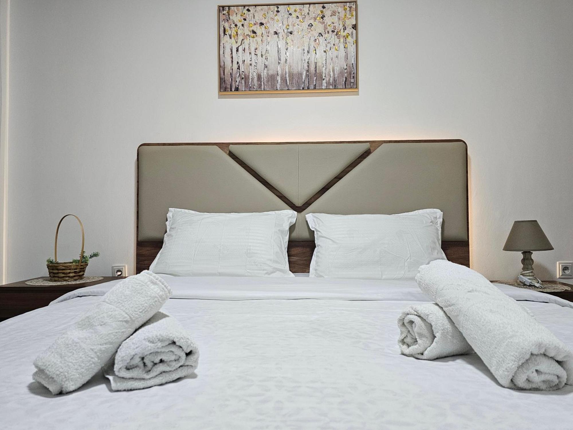 Superb 1 Bedroom In The Best Zone Of The City. Ferizaj Dış mekan fotoğraf